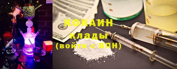 дмт Дмитриев