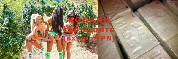 ПСИЛОЦИБИНОВЫЕ ГРИБЫ Дмитров