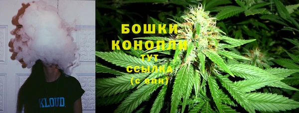 ПСИЛОЦИБИНОВЫЕ ГРИБЫ Дмитров
