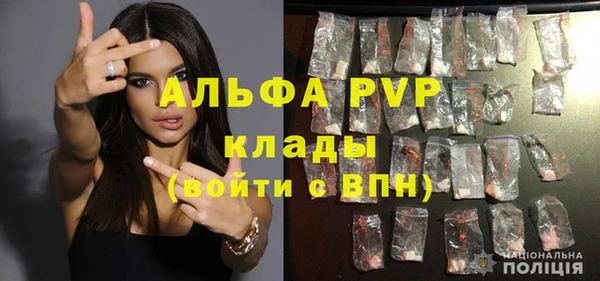 ПСИЛОЦИБИНОВЫЕ ГРИБЫ Дмитров